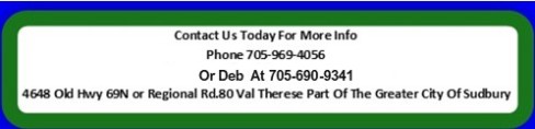 contact us